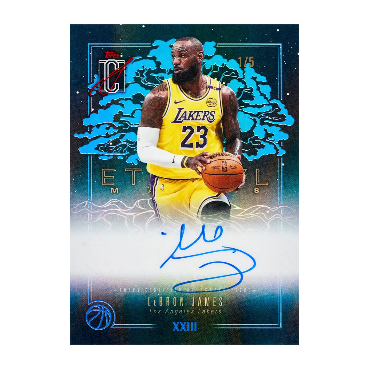 Break NBA – 2 Blaster Topps Chrome Update + 1 Mega Box Signature Class